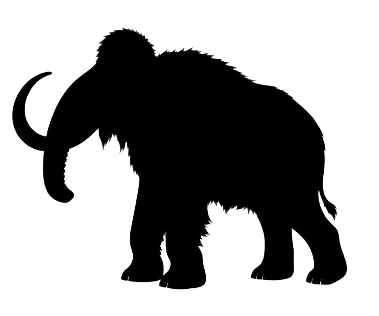 Mamute